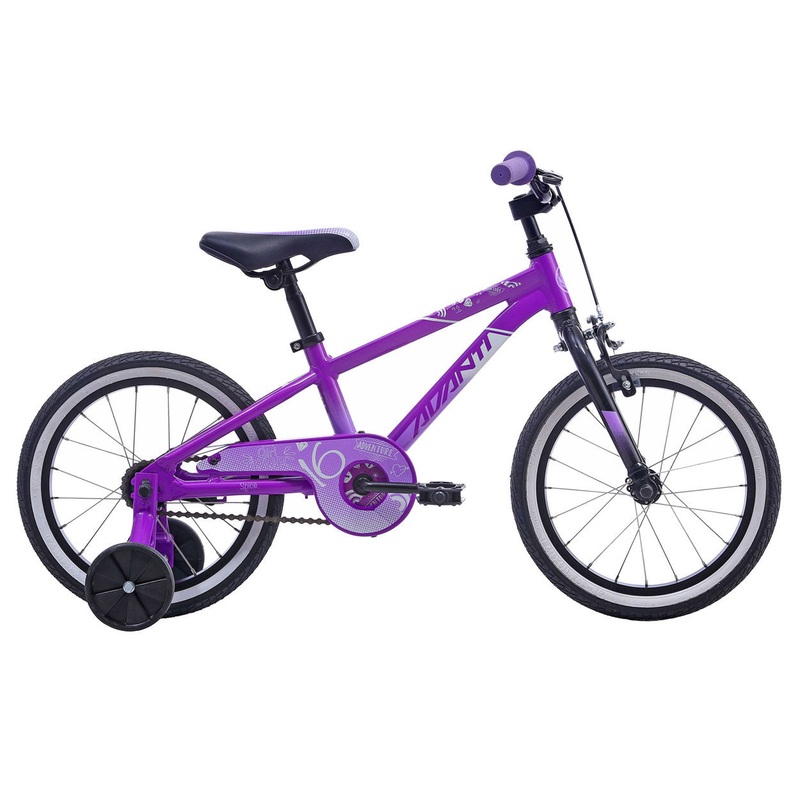 Avanti Spice 16 2022 Purple 16